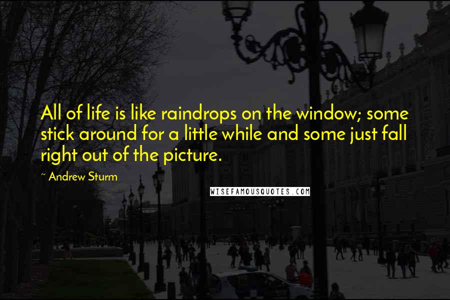 Andrew Sturm Quotes: All of life is like raindrops on the window; some stick around for a little while and some just fall right out of the picture.