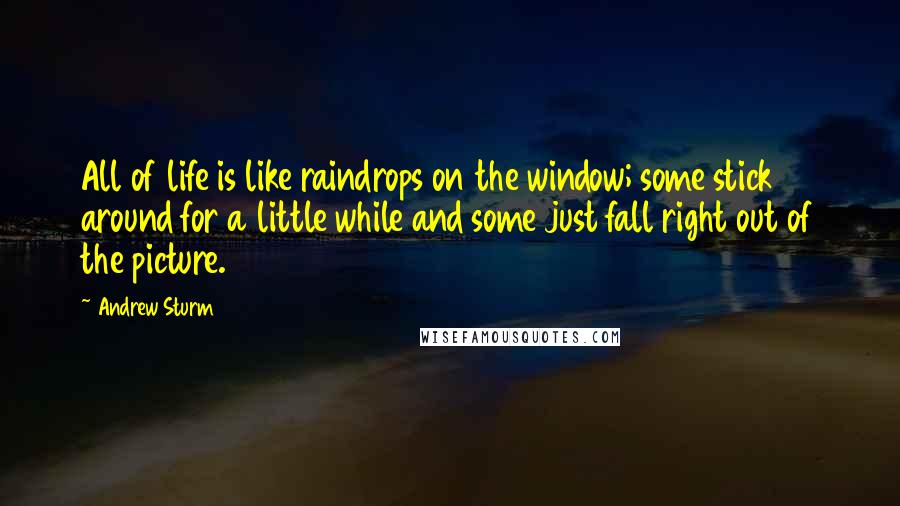 Andrew Sturm Quotes: All of life is like raindrops on the window; some stick around for a little while and some just fall right out of the picture.