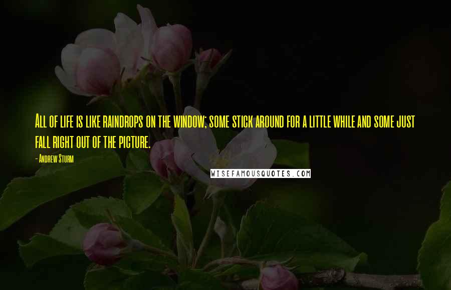 Andrew Sturm Quotes: All of life is like raindrops on the window; some stick around for a little while and some just fall right out of the picture.