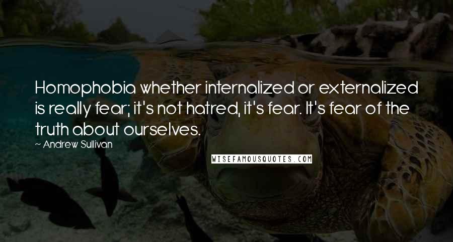 Andrew Sullivan Quotes: Homophobia whether internalized or externalized is really fear; it's not hatred, it's fear. It's fear of the truth about ourselves.