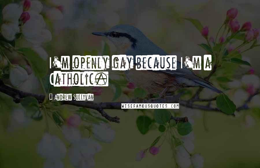 Andrew Sullivan Quotes: I'm openly gay because I'm a Catholic.