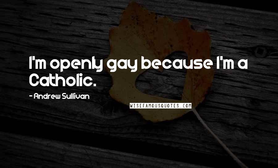 Andrew Sullivan Quotes: I'm openly gay because I'm a Catholic.