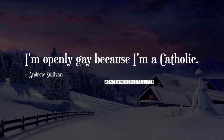 Andrew Sullivan Quotes: I'm openly gay because I'm a Catholic.