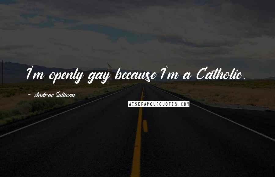 Andrew Sullivan Quotes: I'm openly gay because I'm a Catholic.