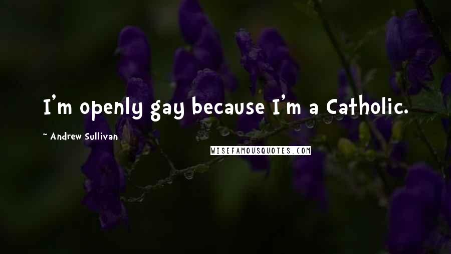 Andrew Sullivan Quotes: I'm openly gay because I'm a Catholic.