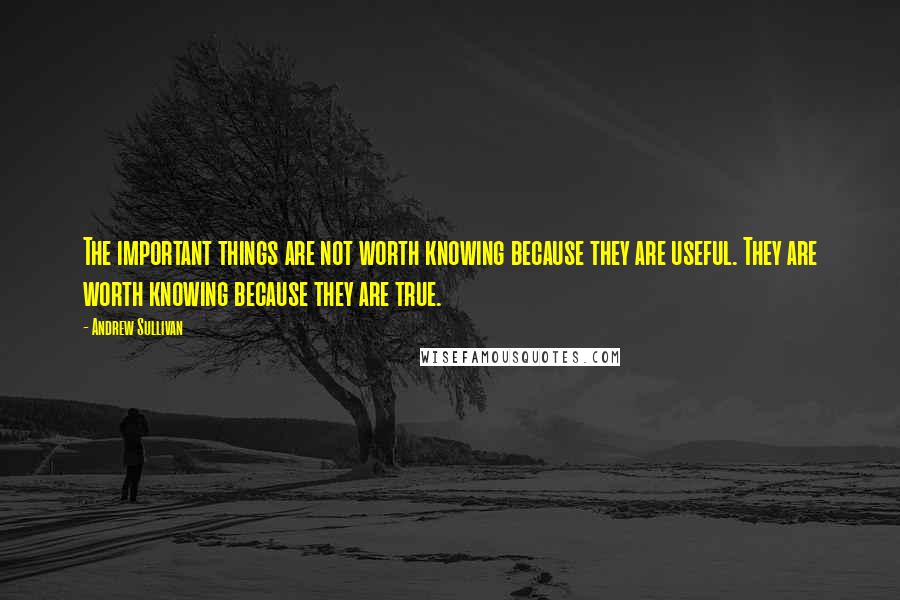Andrew Sullivan Quotes: The important things are not worth knowing because they are useful. They are worth knowing because they are true.