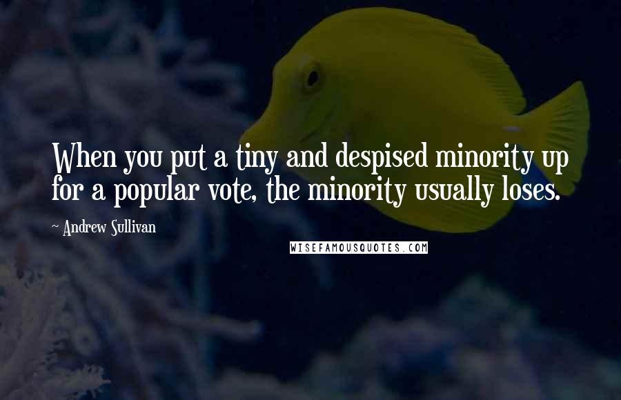 Andrew Sullivan Quotes: When you put a tiny and despised minority up for a popular vote, the minority usually loses.