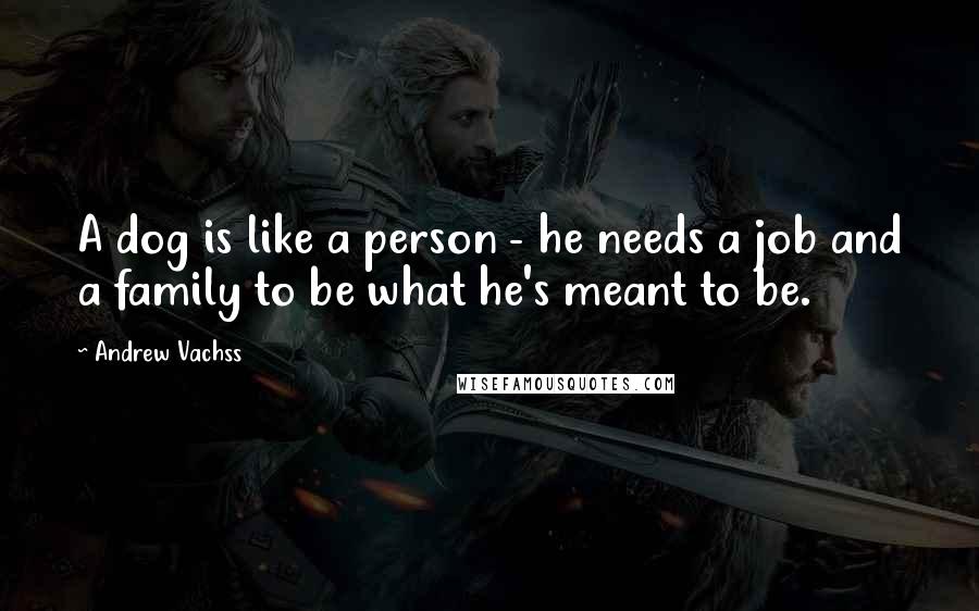 Andrew Vachss Quotes: A dog is like a person - he needs a job and a family to be what he's meant to be.