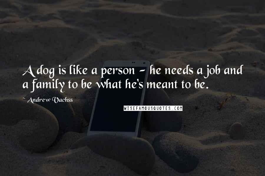 Andrew Vachss Quotes: A dog is like a person - he needs a job and a family to be what he's meant to be.