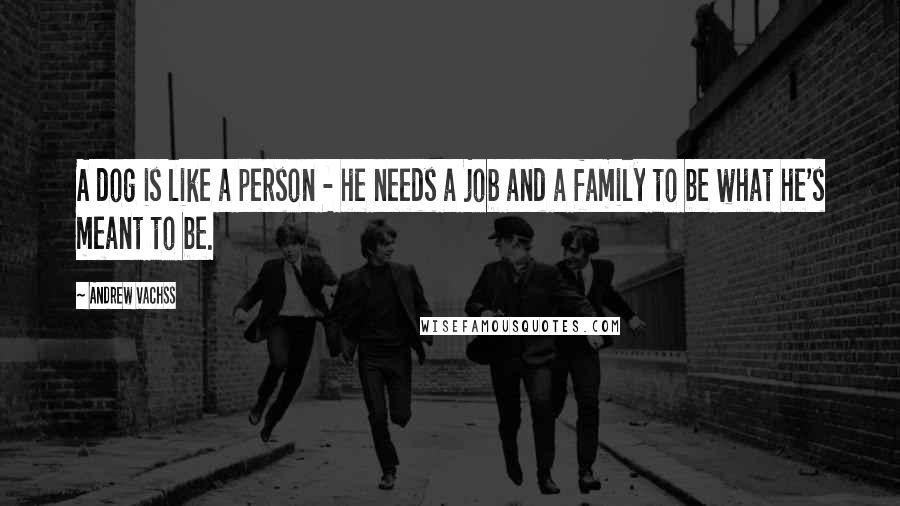 Andrew Vachss Quotes: A dog is like a person - he needs a job and a family to be what he's meant to be.