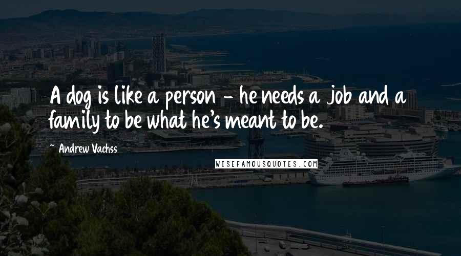 Andrew Vachss Quotes: A dog is like a person - he needs a job and a family to be what he's meant to be.