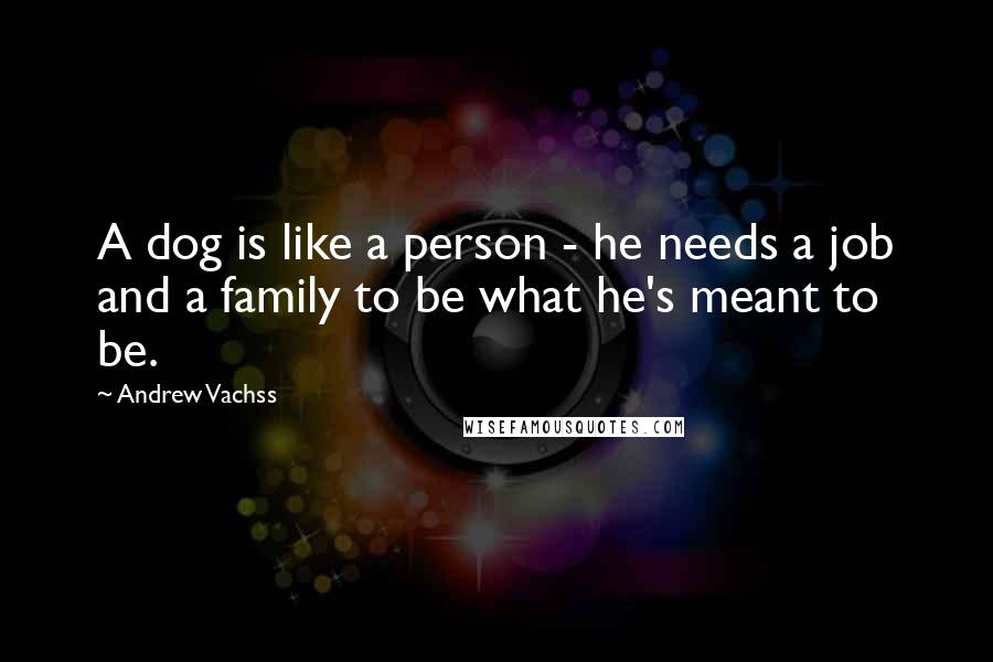 Andrew Vachss Quotes: A dog is like a person - he needs a job and a family to be what he's meant to be.