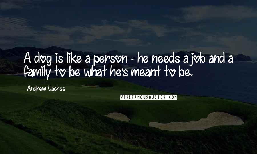 Andrew Vachss Quotes: A dog is like a person - he needs a job and a family to be what he's meant to be.