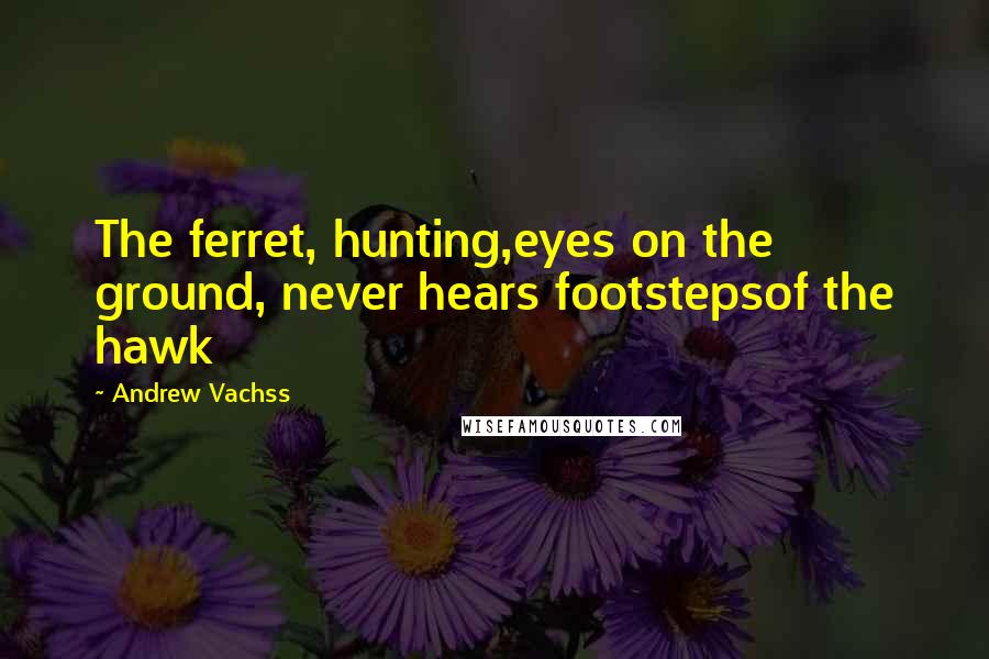 Andrew Vachss Quotes: The ferret, hunting,eyes on the ground, never hears footstepsof the hawk