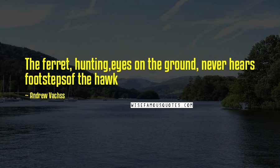 Andrew Vachss Quotes: The ferret, hunting,eyes on the ground, never hears footstepsof the hawk
