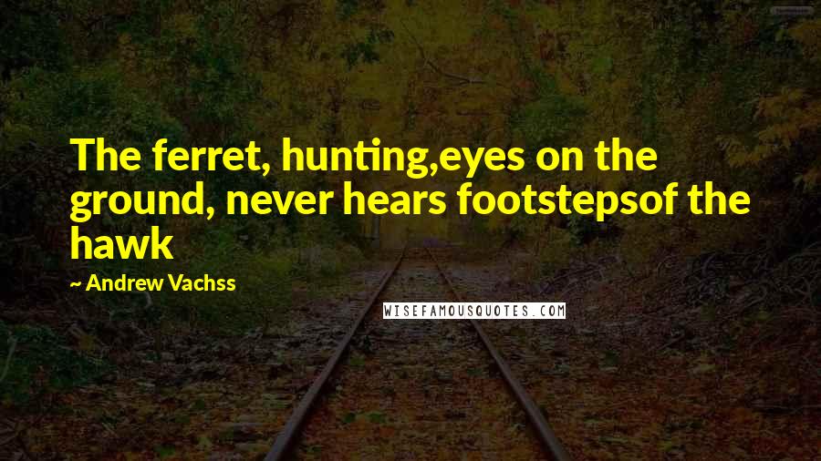 Andrew Vachss Quotes: The ferret, hunting,eyes on the ground, never hears footstepsof the hawk