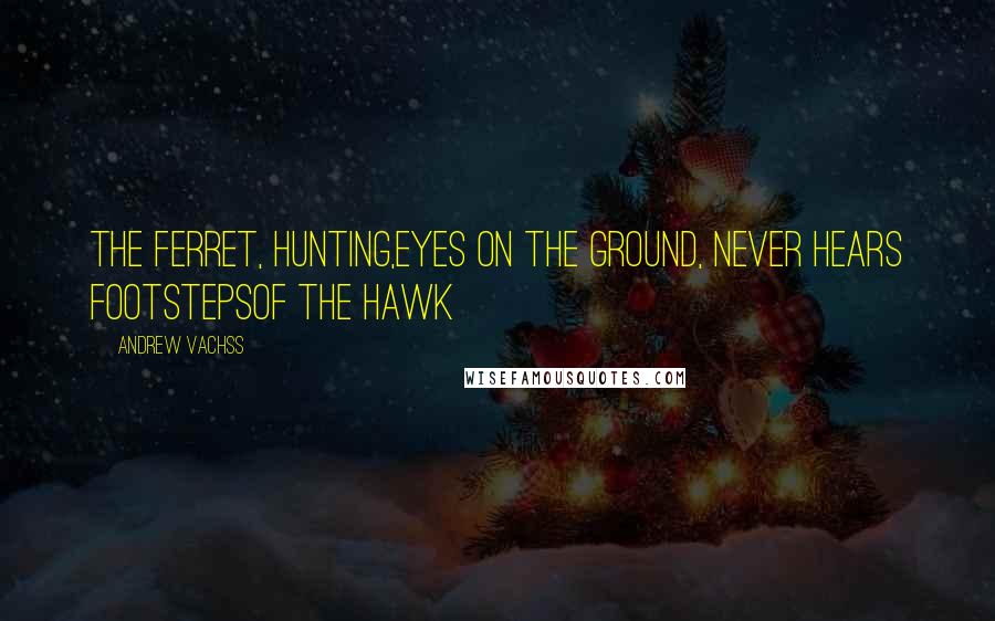 Andrew Vachss Quotes: The ferret, hunting,eyes on the ground, never hears footstepsof the hawk