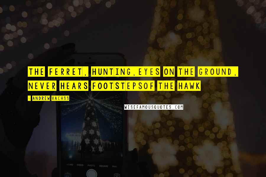 Andrew Vachss Quotes: The ferret, hunting,eyes on the ground, never hears footstepsof the hawk