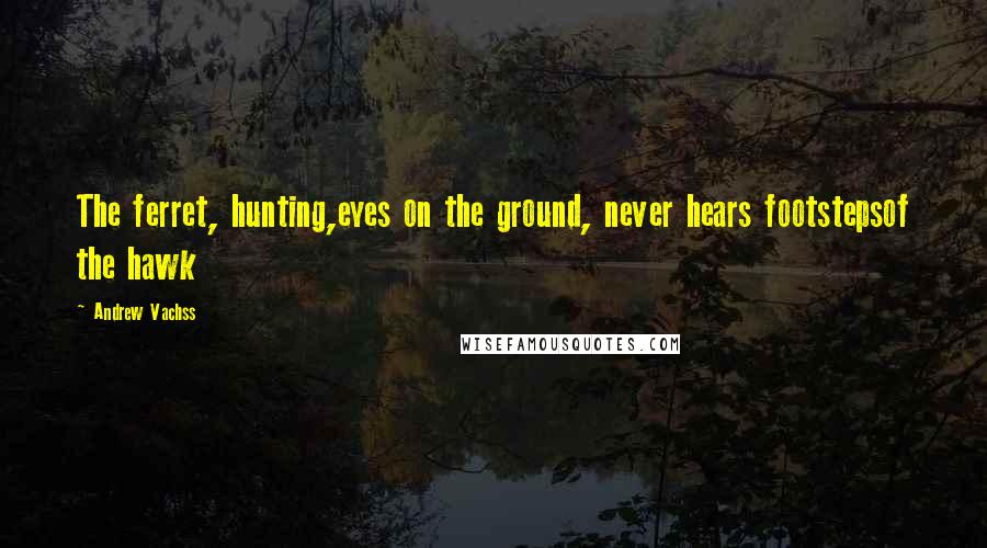 Andrew Vachss Quotes: The ferret, hunting,eyes on the ground, never hears footstepsof the hawk