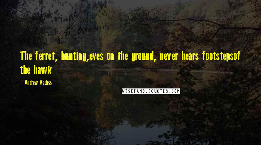 Andrew Vachss Quotes: The ferret, hunting,eyes on the ground, never hears footstepsof the hawk