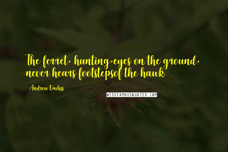 Andrew Vachss Quotes: The ferret, hunting,eyes on the ground, never hears footstepsof the hawk