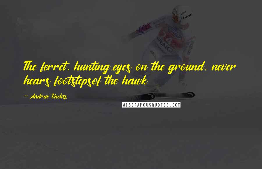 Andrew Vachss Quotes: The ferret, hunting,eyes on the ground, never hears footstepsof the hawk