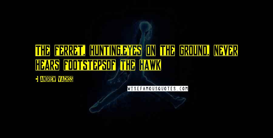 Andrew Vachss Quotes: The ferret, hunting,eyes on the ground, never hears footstepsof the hawk