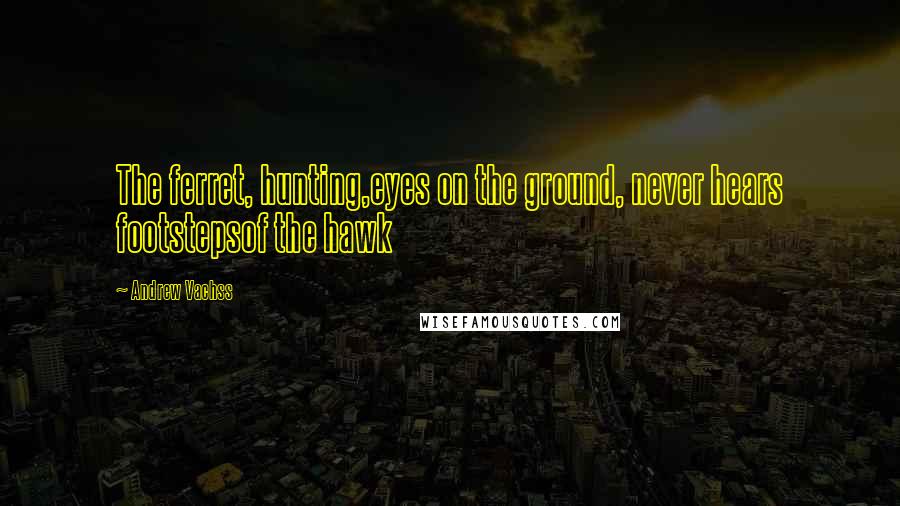 Andrew Vachss Quotes: The ferret, hunting,eyes on the ground, never hears footstepsof the hawk