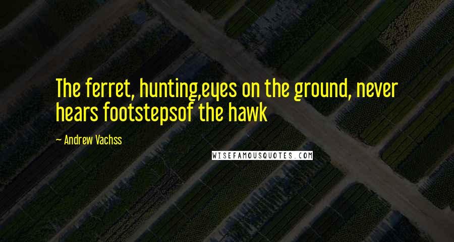 Andrew Vachss Quotes: The ferret, hunting,eyes on the ground, never hears footstepsof the hawk