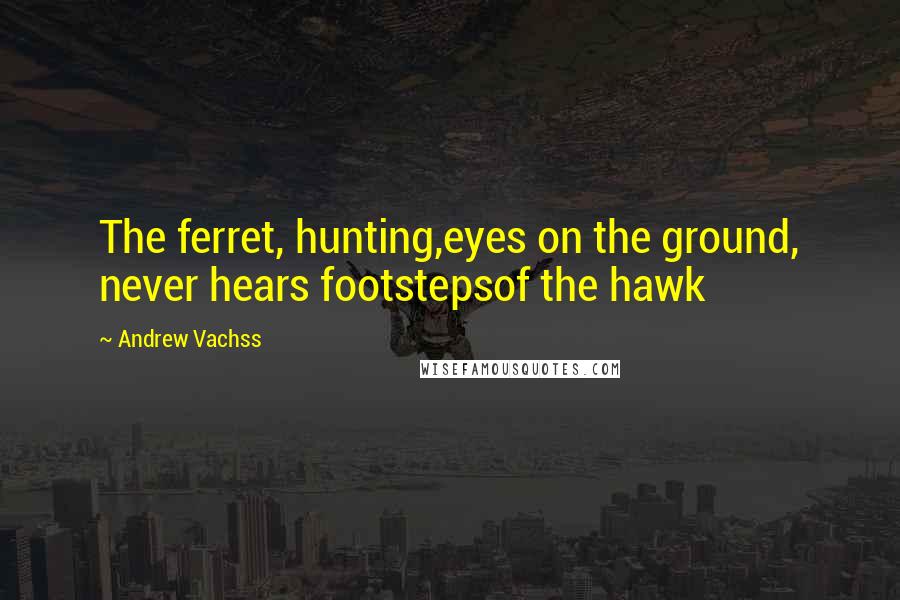 Andrew Vachss Quotes: The ferret, hunting,eyes on the ground, never hears footstepsof the hawk