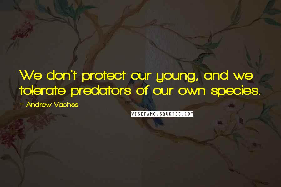 Andrew Vachss Quotes: We don't protect our young, and we tolerate predators of our own species.