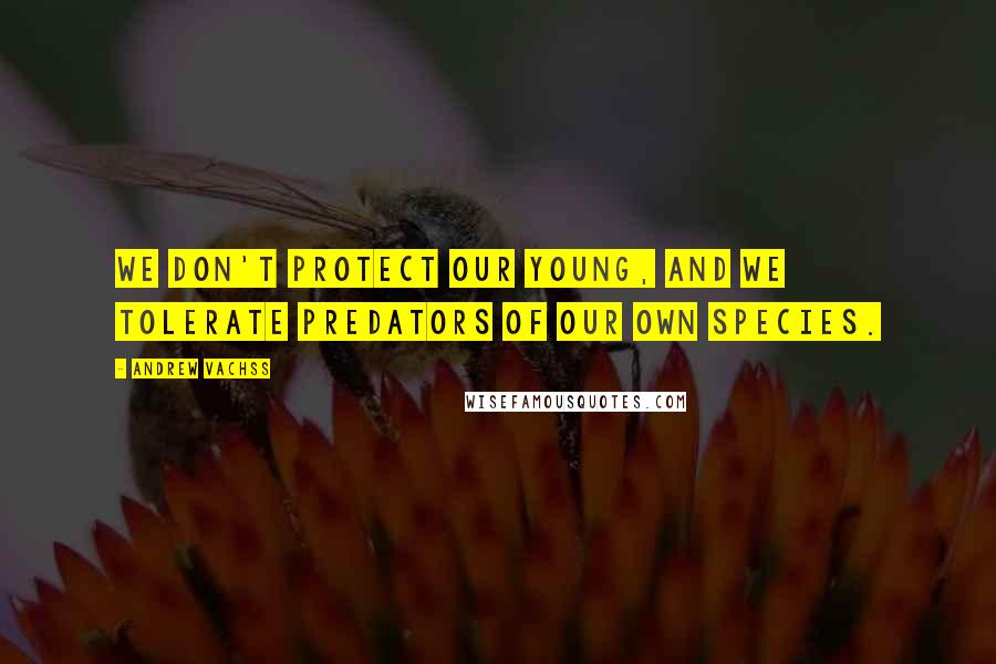 Andrew Vachss Quotes: We don't protect our young, and we tolerate predators of our own species.