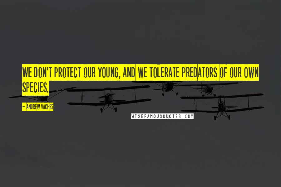 Andrew Vachss Quotes: We don't protect our young, and we tolerate predators of our own species.