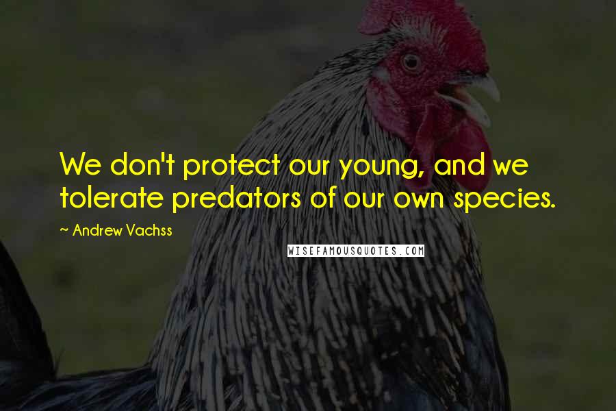 Andrew Vachss Quotes: We don't protect our young, and we tolerate predators of our own species.