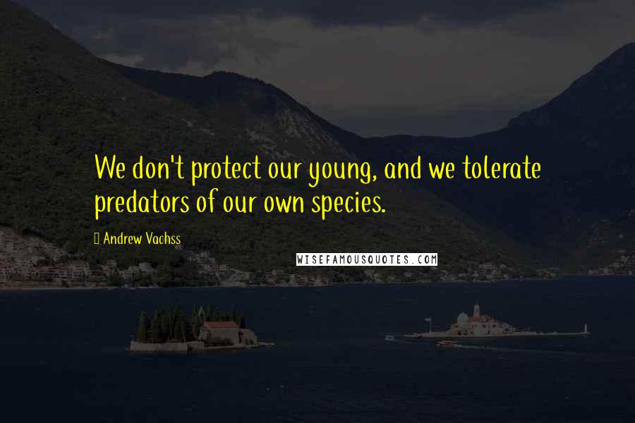 Andrew Vachss Quotes: We don't protect our young, and we tolerate predators of our own species.