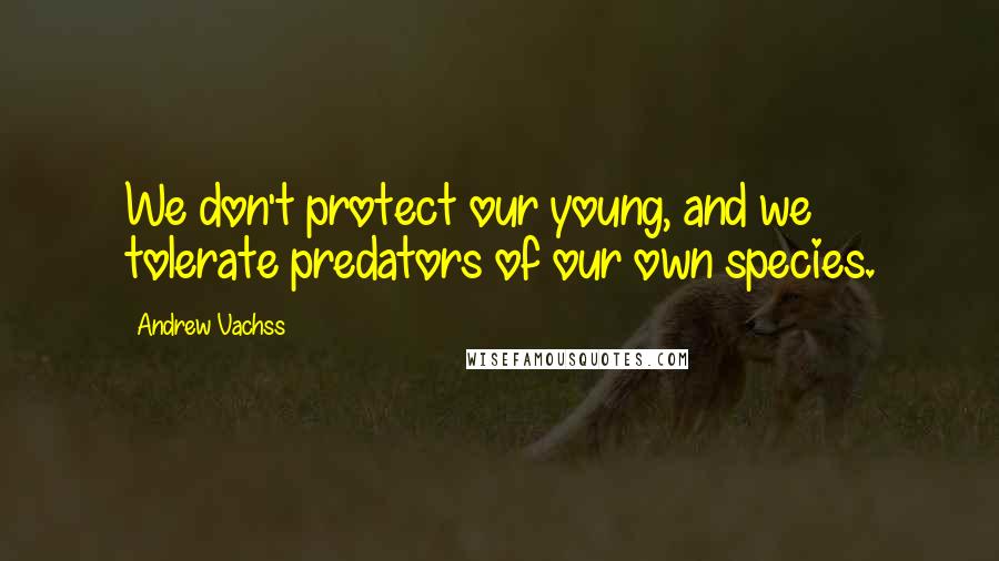 Andrew Vachss Quotes: We don't protect our young, and we tolerate predators of our own species.