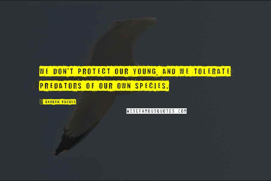 Andrew Vachss Quotes: We don't protect our young, and we tolerate predators of our own species.