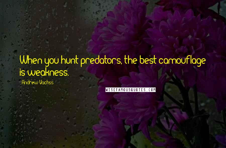 Andrew Vachss Quotes: When you hunt predators, the best camouflage is weakness.