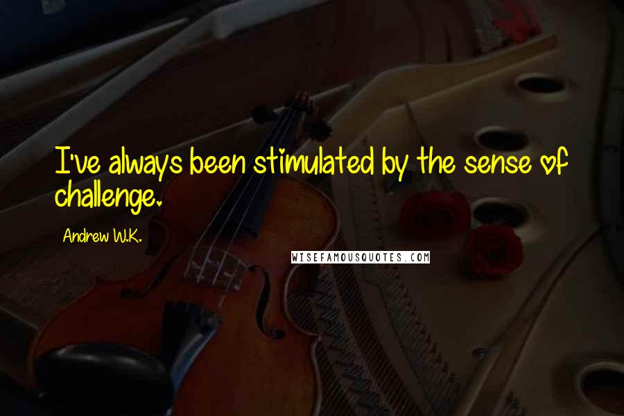 Andrew W.K. Quotes: I've always been stimulated by the sense of challenge.