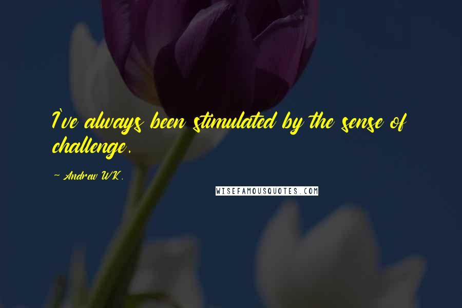 Andrew W.K. Quotes: I've always been stimulated by the sense of challenge.