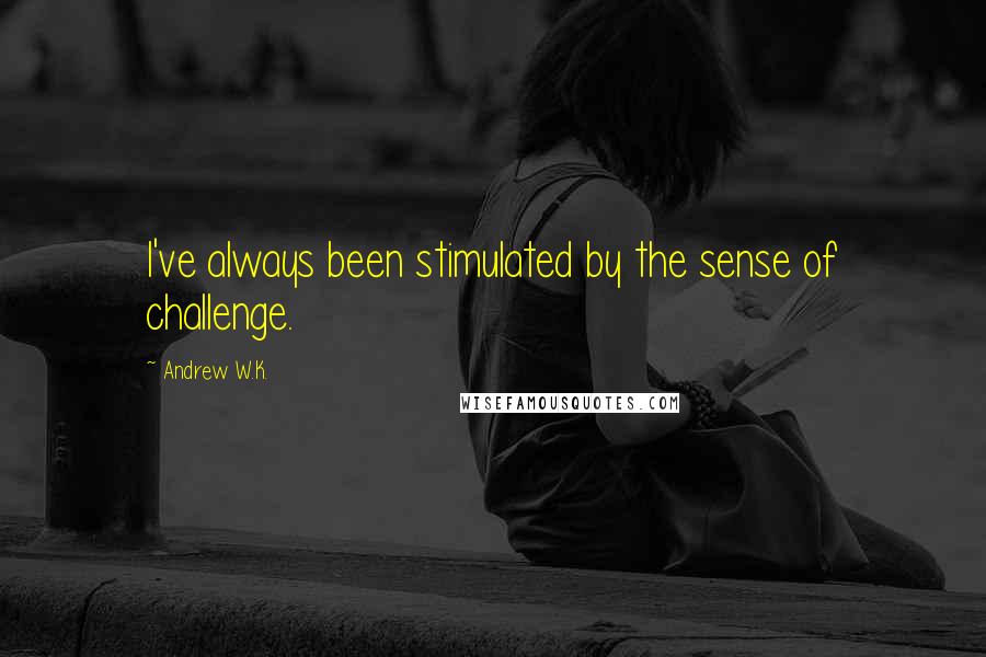 Andrew W.K. Quotes: I've always been stimulated by the sense of challenge.