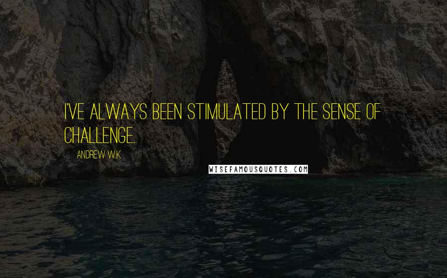 Andrew W.K. Quotes: I've always been stimulated by the sense of challenge.