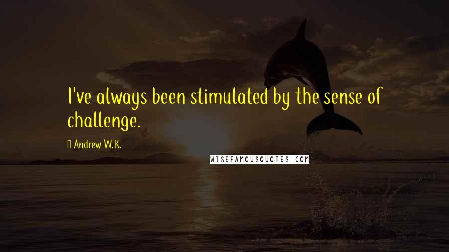 Andrew W.K. Quotes: I've always been stimulated by the sense of challenge.