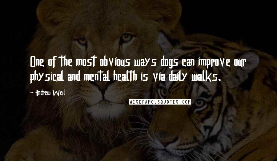 Andrew Weil Quotes: One of the most obvious ways dogs can improve our physical and mental health is via daily walks.