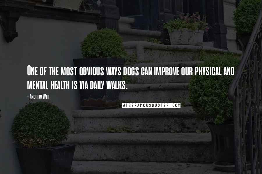 Andrew Weil Quotes: One of the most obvious ways dogs can improve our physical and mental health is via daily walks.