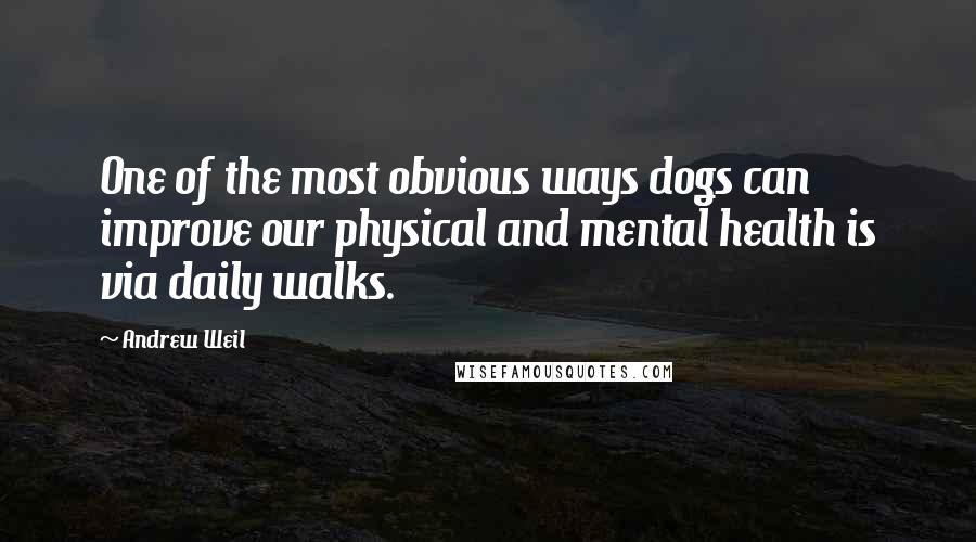 Andrew Weil Quotes: One of the most obvious ways dogs can improve our physical and mental health is via daily walks.