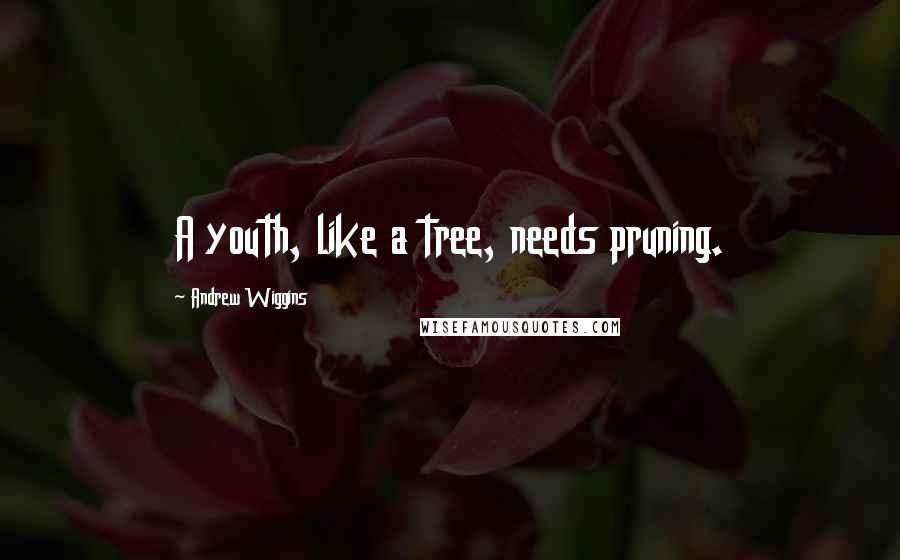 Andrew Wiggins Quotes: A youth, like a tree, needs pruning.