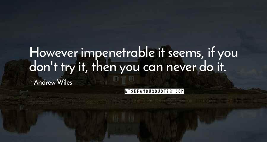 Andrew Wiles Quotes: However impenetrable it seems, if you don't try it, then you can never do it.