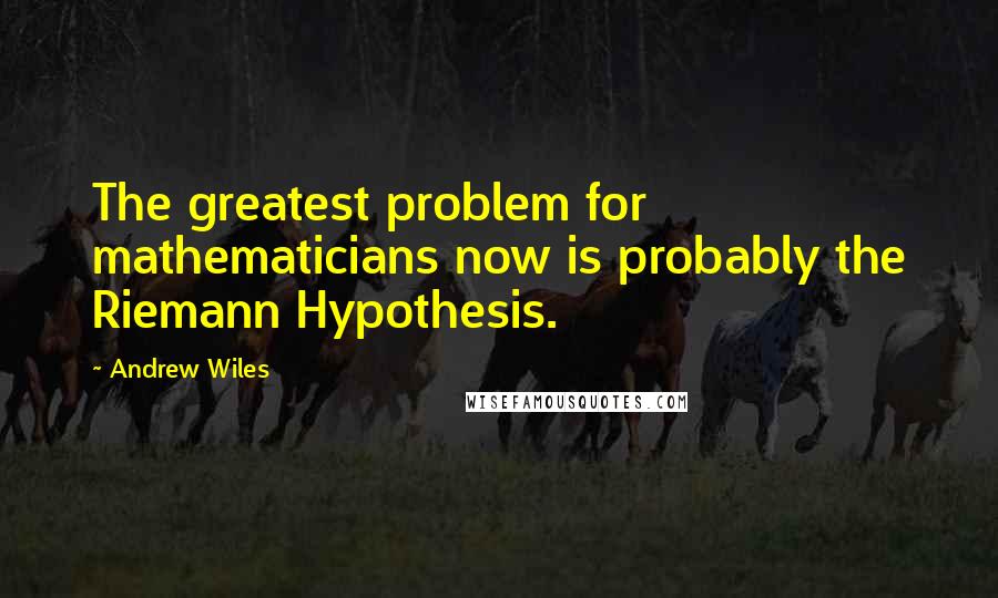 Andrew Wiles Quotes: The greatest problem for mathematicians now is probably the Riemann Hypothesis.