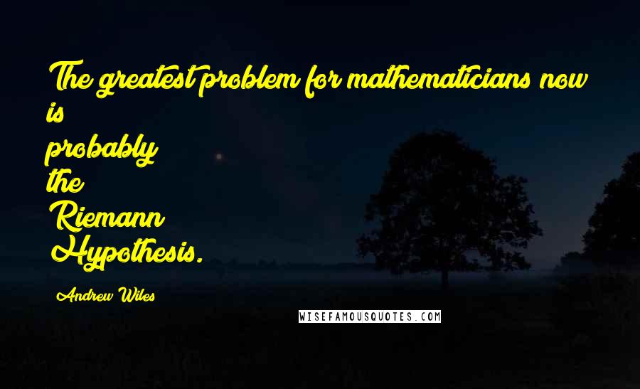 Andrew Wiles Quotes: The greatest problem for mathematicians now is probably the Riemann Hypothesis.